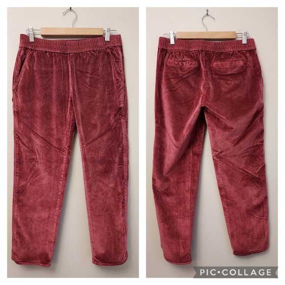 Madewell Rouge Velvet Jogger Track Pant Size Small Athleisure - Picture 5 of 11